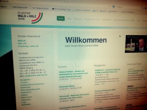 Screenshot der cluster-wald-holz.de
